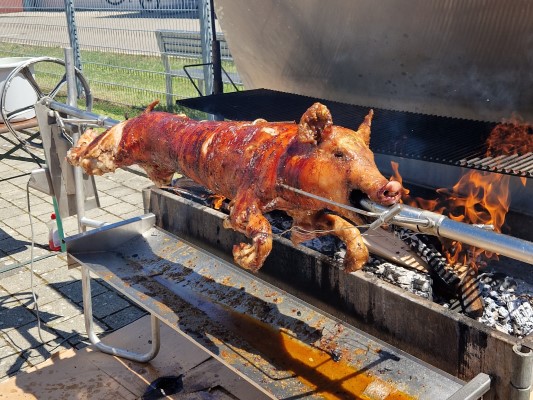 Mitarbeiter auf Bänken am Sommerfest 2022